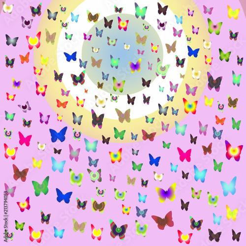 Numerous colorful butterflies