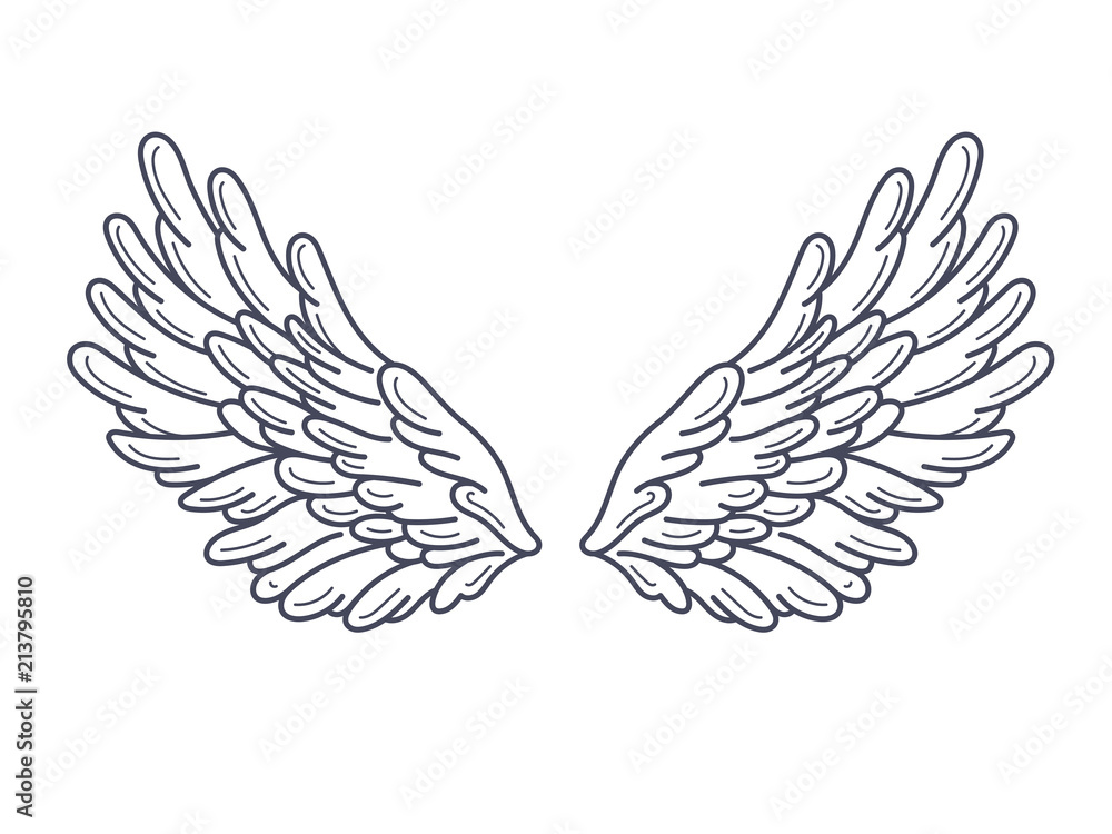 Obraz premium A pair of angel wings, wide open. Contour drawing in modern flat line style. Vector illustration