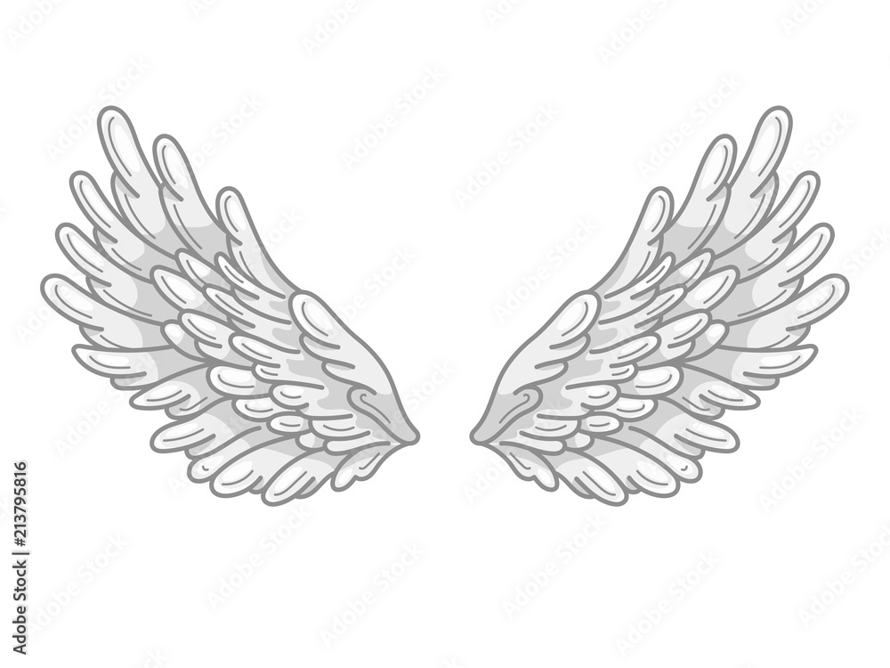 A pair of angel wings with grey and white feathers, wide spread. Contour drawing in modern line style with volume. Vector illustration A pair of angel wings with grey and white feathers, wide spread. Contour drawing in modern line style with volume. Vector illustration