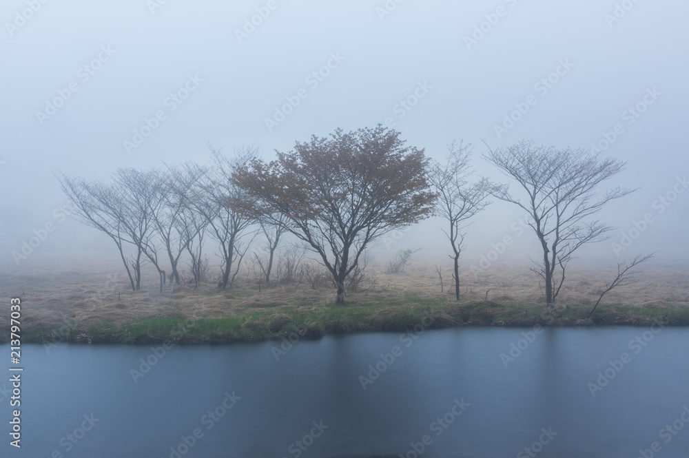 覚満淵 覚満淵