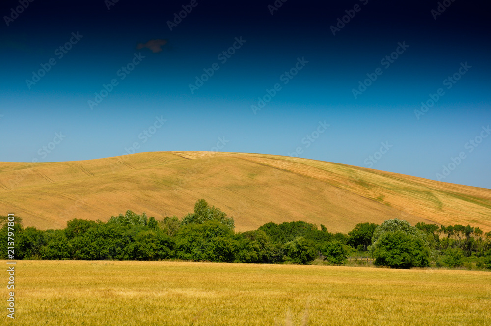 Summer landscape with blue sky and clouds