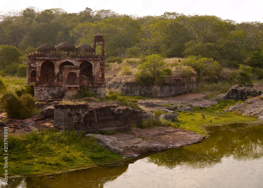 Old serai in Ranthambhore fort, India