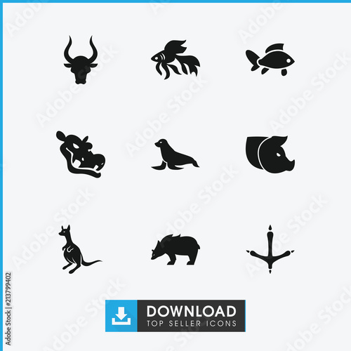 Collection of 9 wildlife filled icons