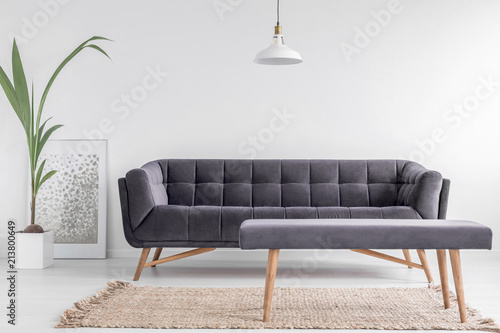Fotografía Comfortable upholstered bench on a beige rug and a large, velvet sofa in a bright, white living room interior with a plant