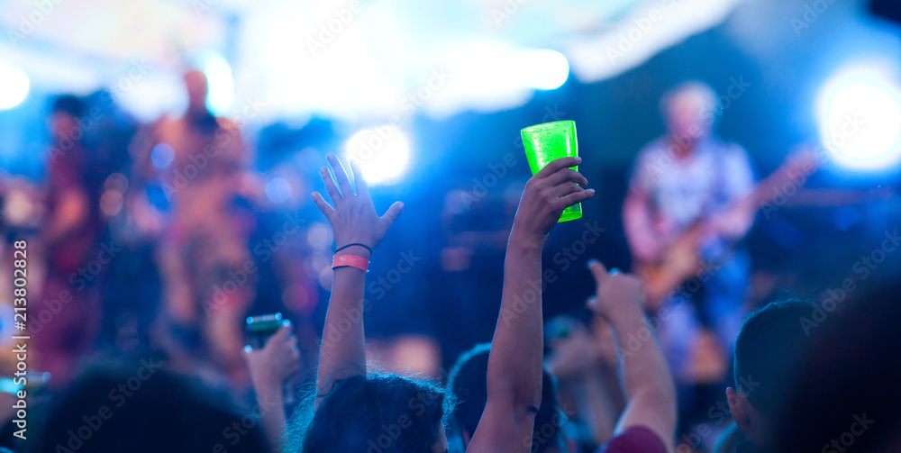Fototapeta premium crowd at concert - music festival