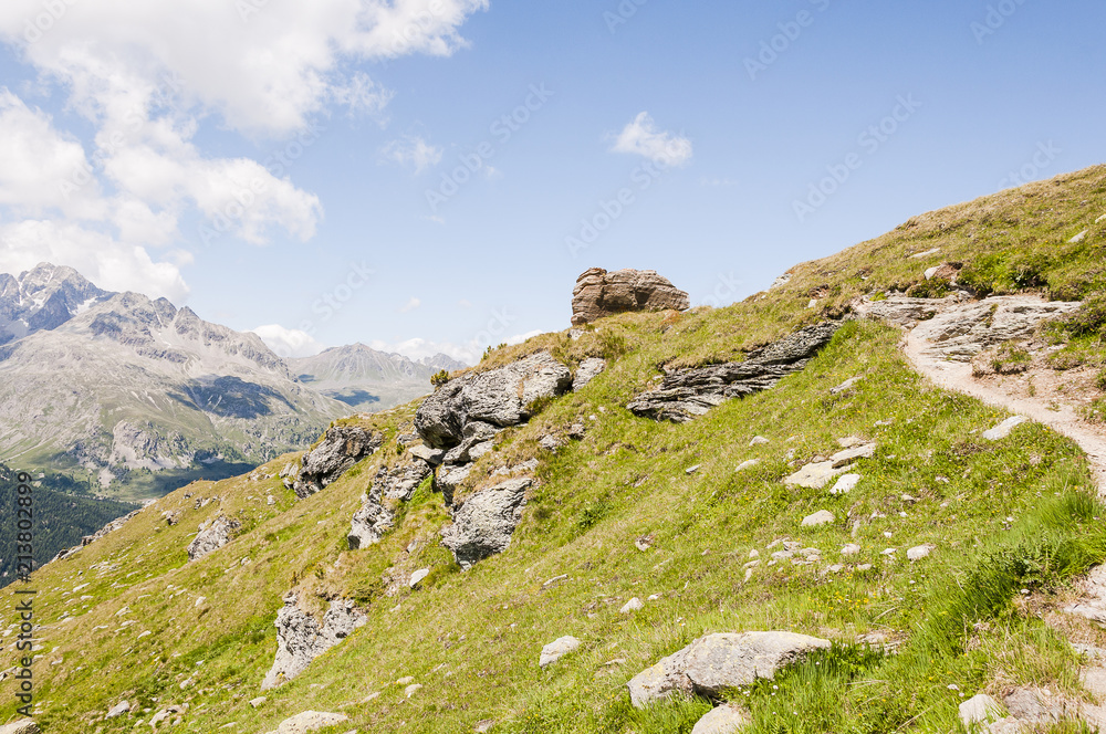 Silvaplana, Corvatsch, Höhenweg, Wasserweg, Wanderweg, Furtschellas, Piz Julier, Piz Corviglia, Sommer, Oberengadin, Graubünden, Schweiz