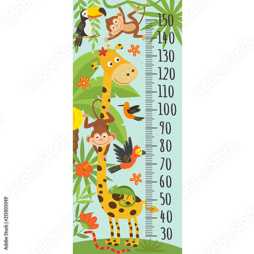 growth measure with giraffe and other jungle animals -  vector illustration, eps