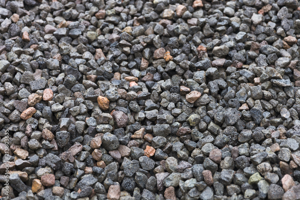 Wet Rocks On The Beach