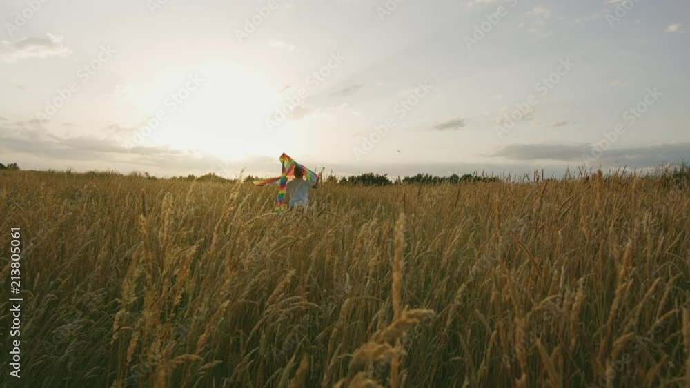 Small Boy Playing With Kite In The Field At Sunset. Small Boy Playing With Kite In The Field At Sunset.