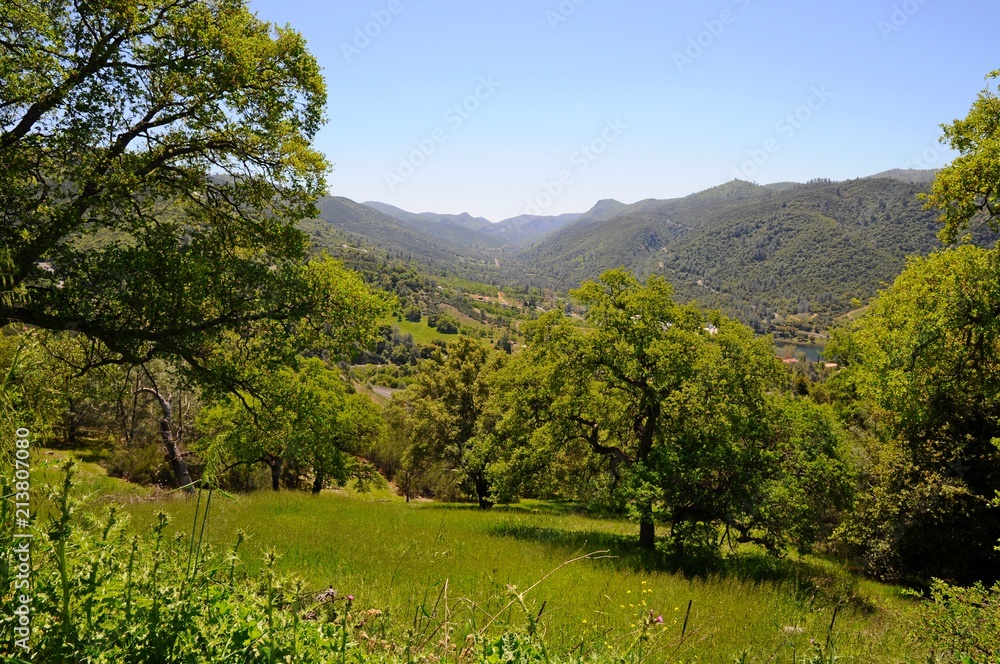 Obraz premium Beautiful Landscape of Trees, mountains, hills and grass field in California, United States