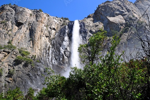Famous waterfall with trees in Yosemite National Park  California  United States