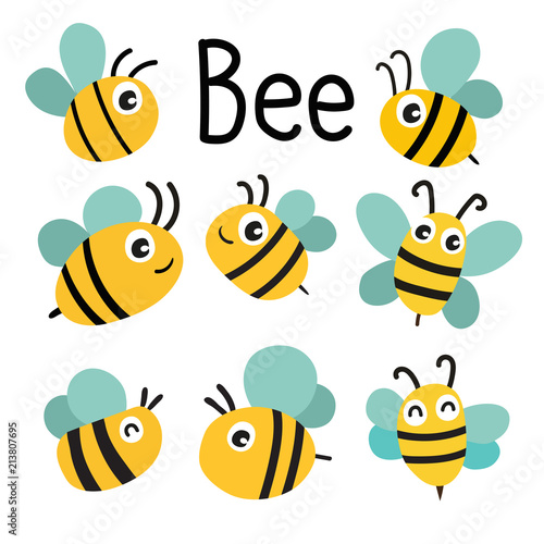 bee vector collection design