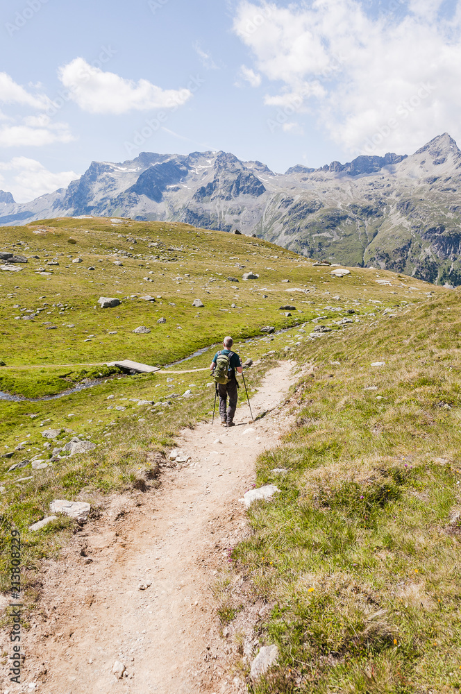 Sils, Corvatsch, Bergsee, Wasserweg, Lejin Rhodonit, Wanderer, Bergwiesen, Wanderweg, Furtschellas, Oberengadin, Sommer, Graubünden, Schweiz