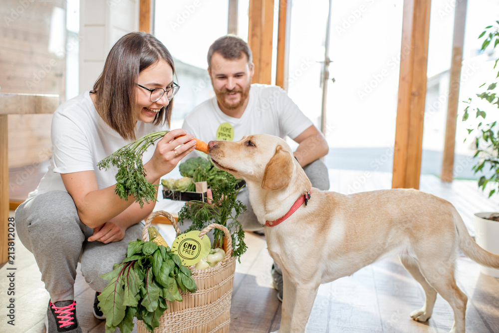 Young Couple Feeding Their Dog With Healthy Green Food From The