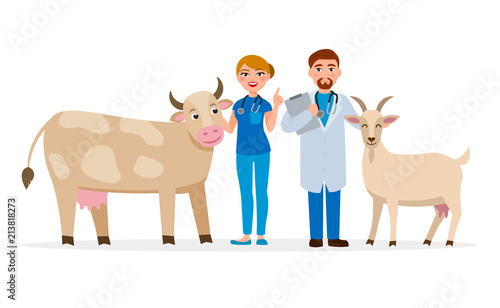 Vets and healthy farm animals - cow and goat vector flat illustration. Cheerful Medical staff cartoon characters having health examination of the cattle.