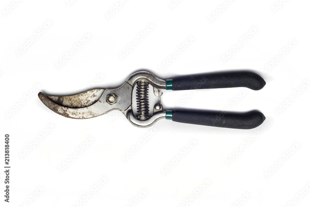 Pruning shears on white background Pruning shears on white background