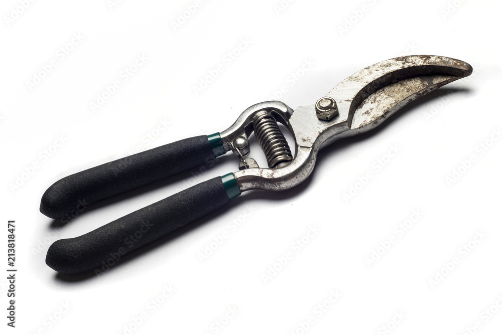 Obraz premium Pruning shears on white background