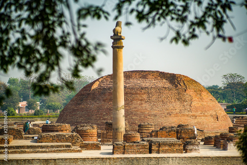 Ashoka or Ashokan Lion Pillar at Vaishali one of the most beautiful (Ashoka Pillar) at old temple in India