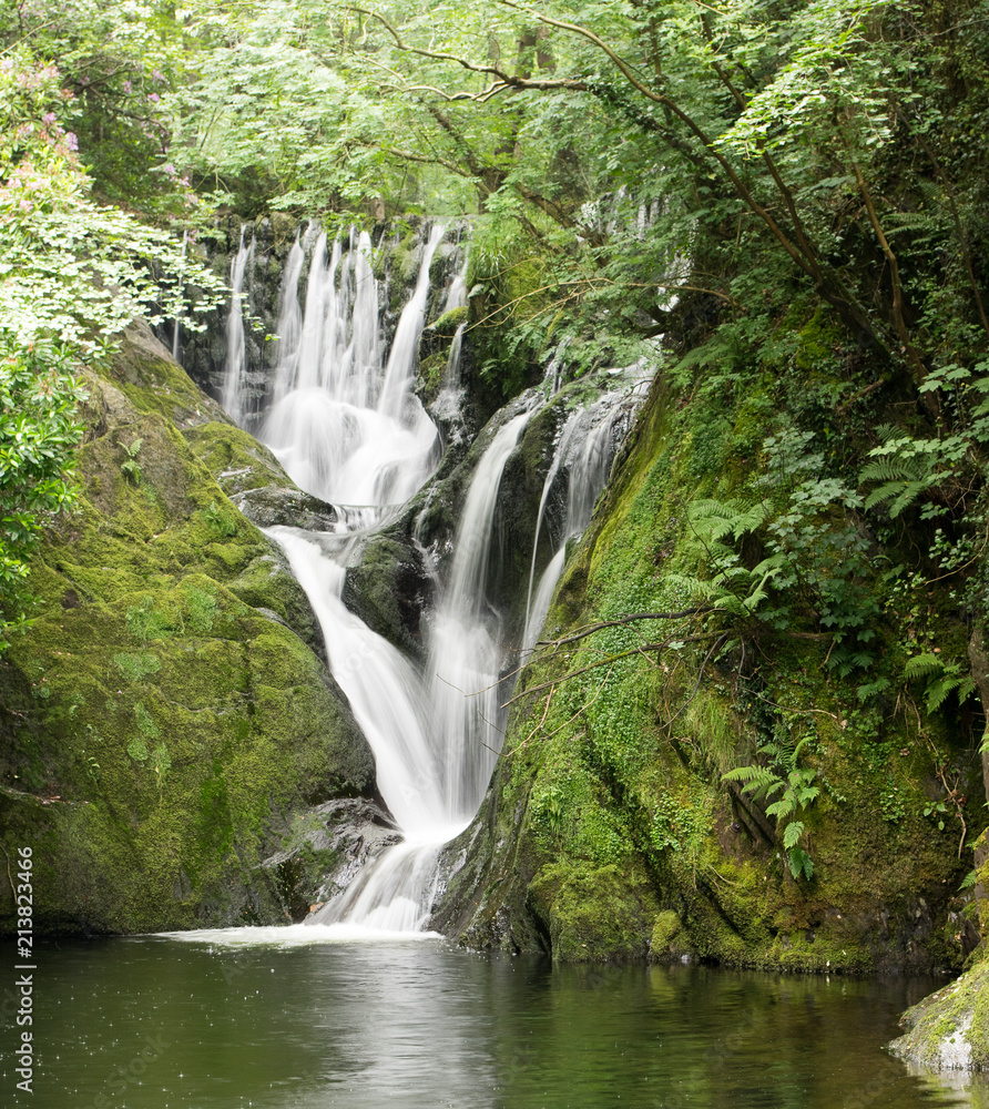Obraz premium Waterfall