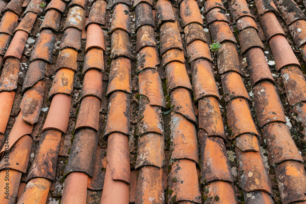 roof roof