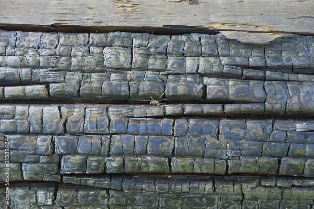 charred wood from the fire texture background charred wood from the fire texture background