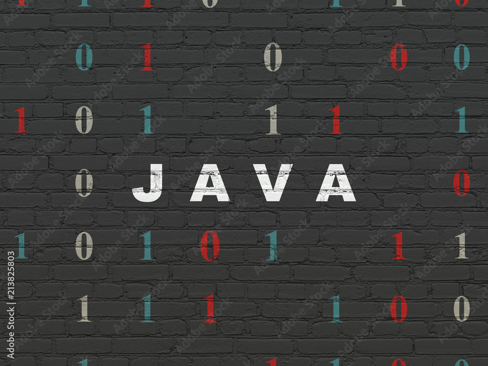 Programming concept: Painted white text Java on Black Brick wall background with Binary Code