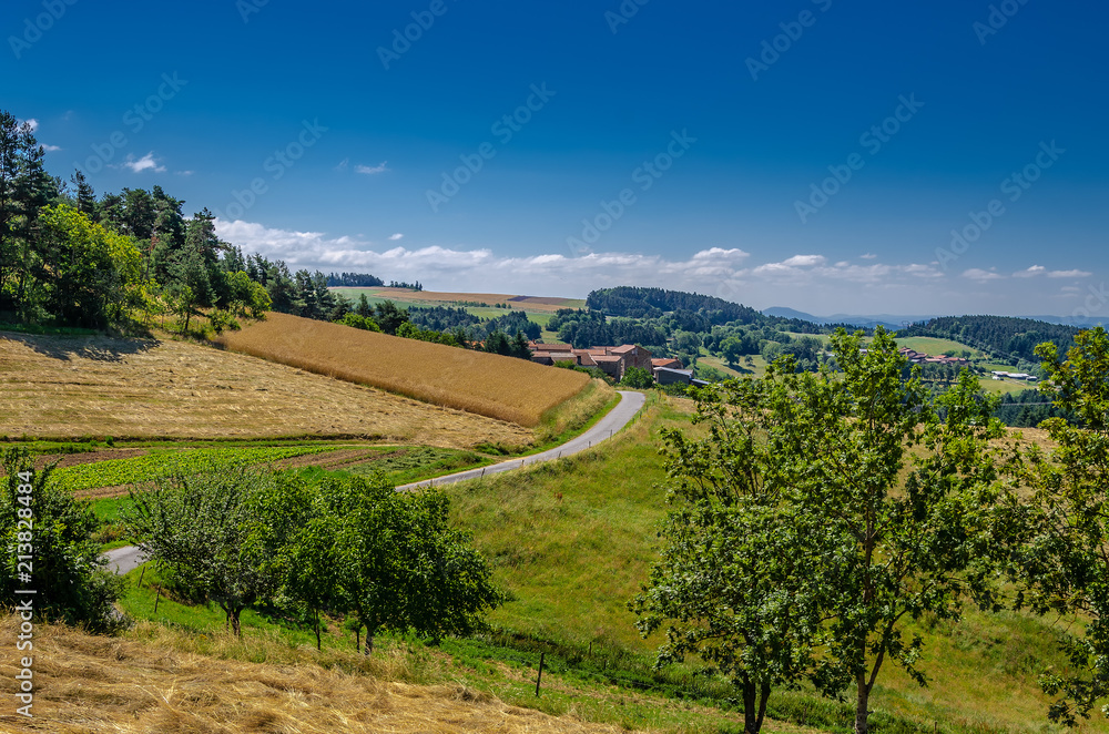 Obraz premium French Fields 1