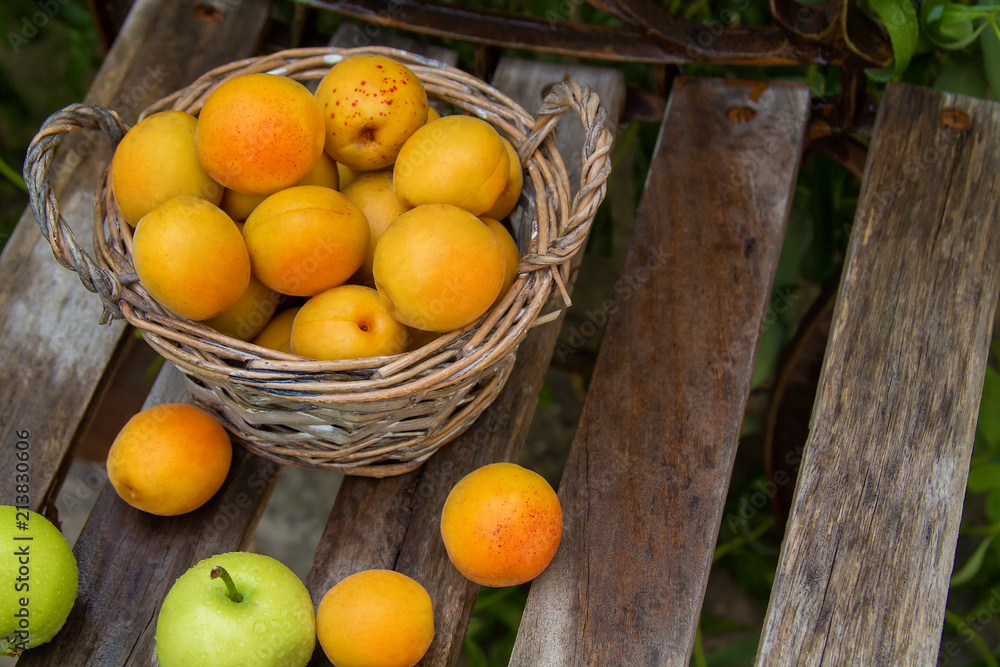 fresh ripe apricots, lie on paper and folded in a basket
