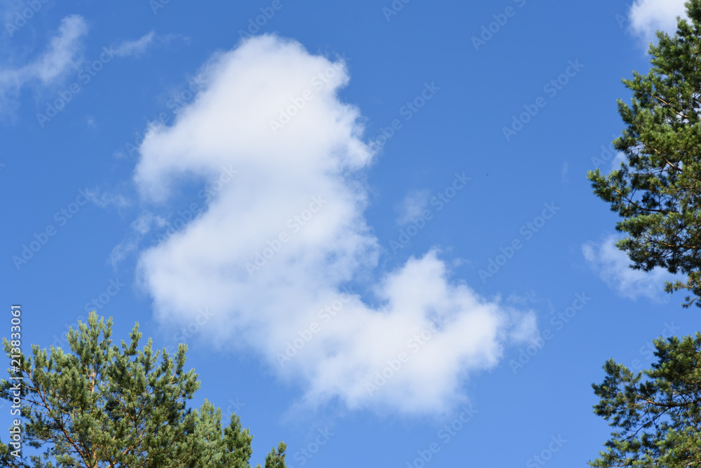 Cloud in the form of a horse-hunchback Cloud in the form of a horse-hunchback