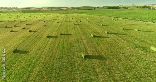 Alfalfa Field with Small Square Bales at Dusk