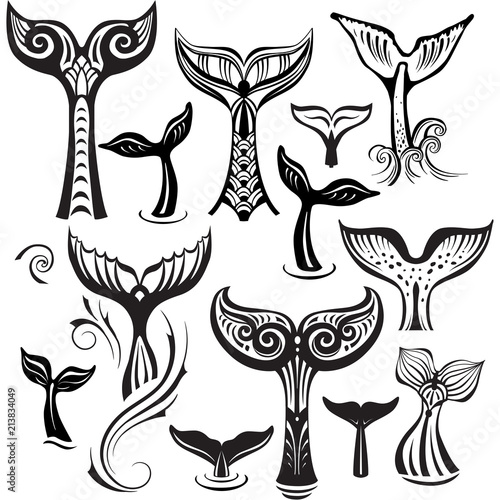 Set of Stylized Tails of a Whale