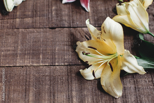 beautiful yellow lily flower on rustic wooden background flat lay. gorgeous bloom minimalistic on rustic wood backdrop. space for text. greeting card. celebration concept. spring image