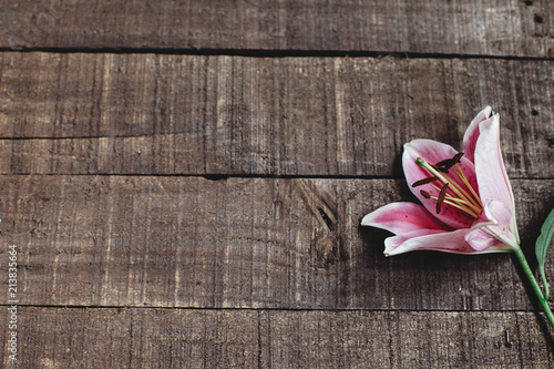 beautiful pink lily flower on rustic wooden background flat lay. gorgeous bloom minimalistic  on rustic wood backdrop. space for text. greeting card. celebration concept. spring image