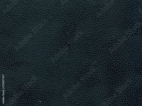 Wallpaper Mural Skin texture. Closeup of leather texture. Torontodigital.ca