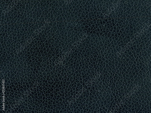 Wallpaper Mural Skin texture. Closeup of leather texture. Torontodigital.ca
