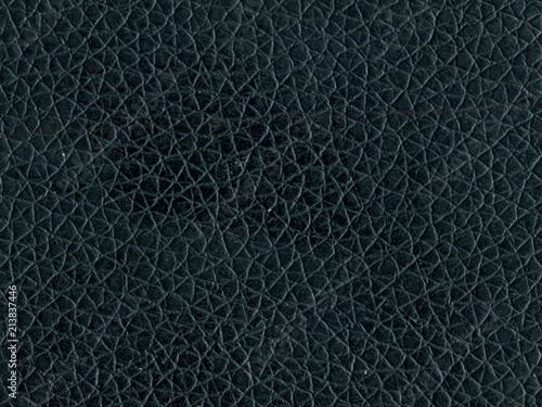 Skin texture. Closeup of leather texture.