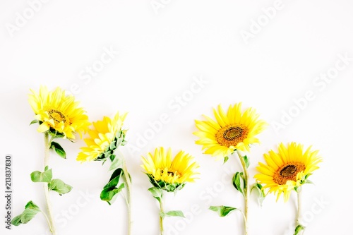 Flowers composition. Border made of yellow flowers sunflower on white background. Flat lay, top view, copy space 