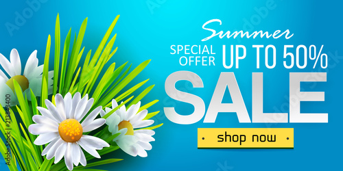 Summer sale web banner, background with daisy flowers chamomiles. Seasonal discount. Vector illustration. Stylish typography