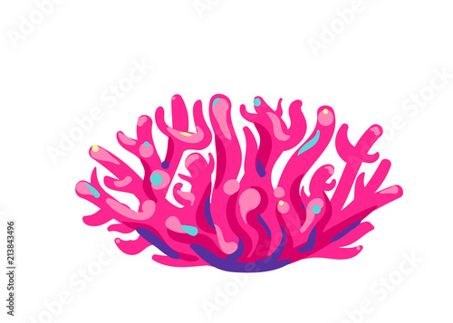 Pink coral on white background