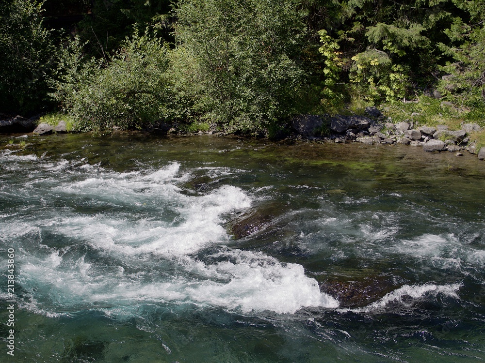 The rushing waters of the McKenzie River in Oregon’s Willamette National Forest on a sunny summer day The rushing waters of the McKenzie River in Oregon’s Willamette National Forest on a sunny summer day