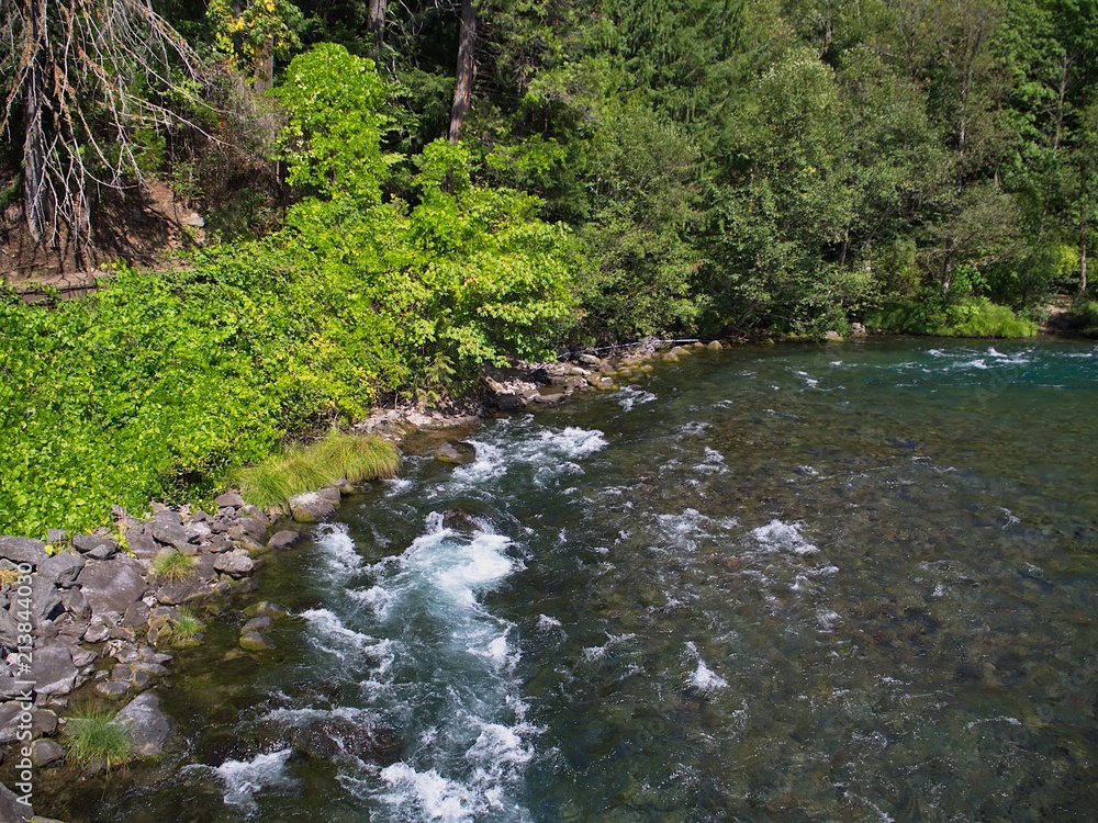 The rushing waters of the McKenzie River in Oregon’s Willamette National Forest on a sunny summer day The rushing waters of the McKenzie River in Oregon’s Willamette National Forest on a sunny summer day