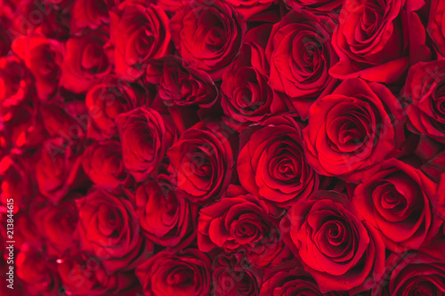 natural red roses background on St. Valentine s Day