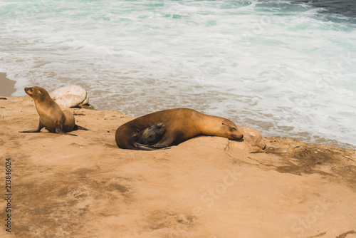 la jolla 