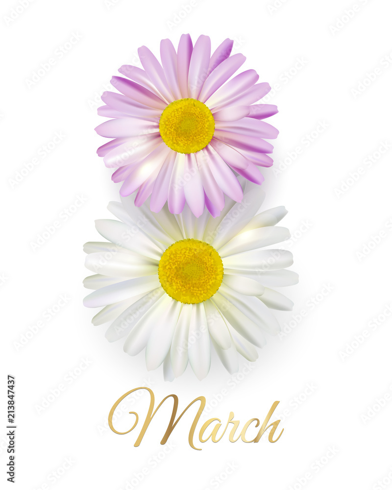 International Women's Day banner. Flyer for March 8 with the camomiles. Vector illustration. International Women's Day banner. Flyer for March 8 with the camomiles. Vector illustration.