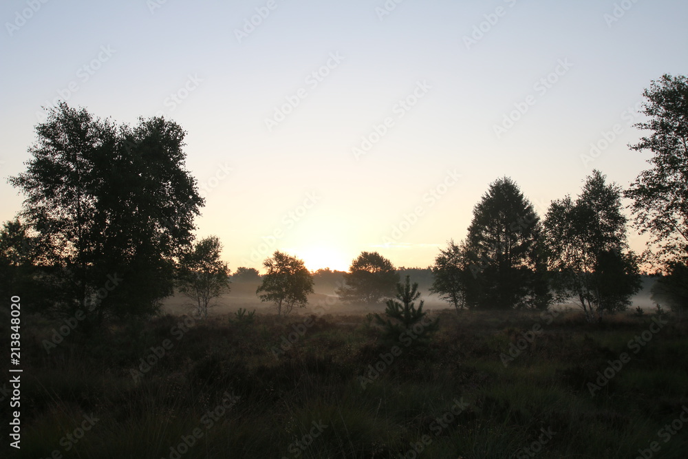 Sonnenaufgang im Morgennebel in der Lüneburger Heide