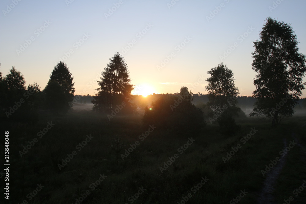 Sonnenaufgang im Morgennebel in der Lüneburger Heide Sonnenaufgang im Morgennebel in der Lüneburger Heide