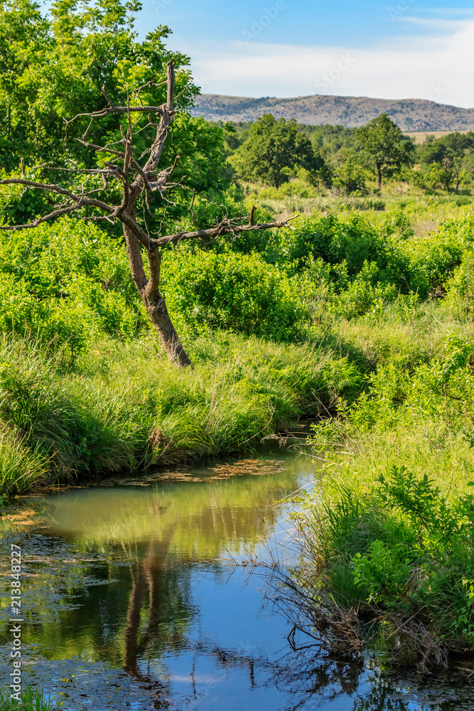 A creek in the Wichita Mountains of Oklahoma A creek in the Wichita Mountains of Oklahoma