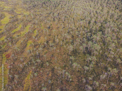Bog.Top view on colorful  swamp like a pattern © EriksFoTo