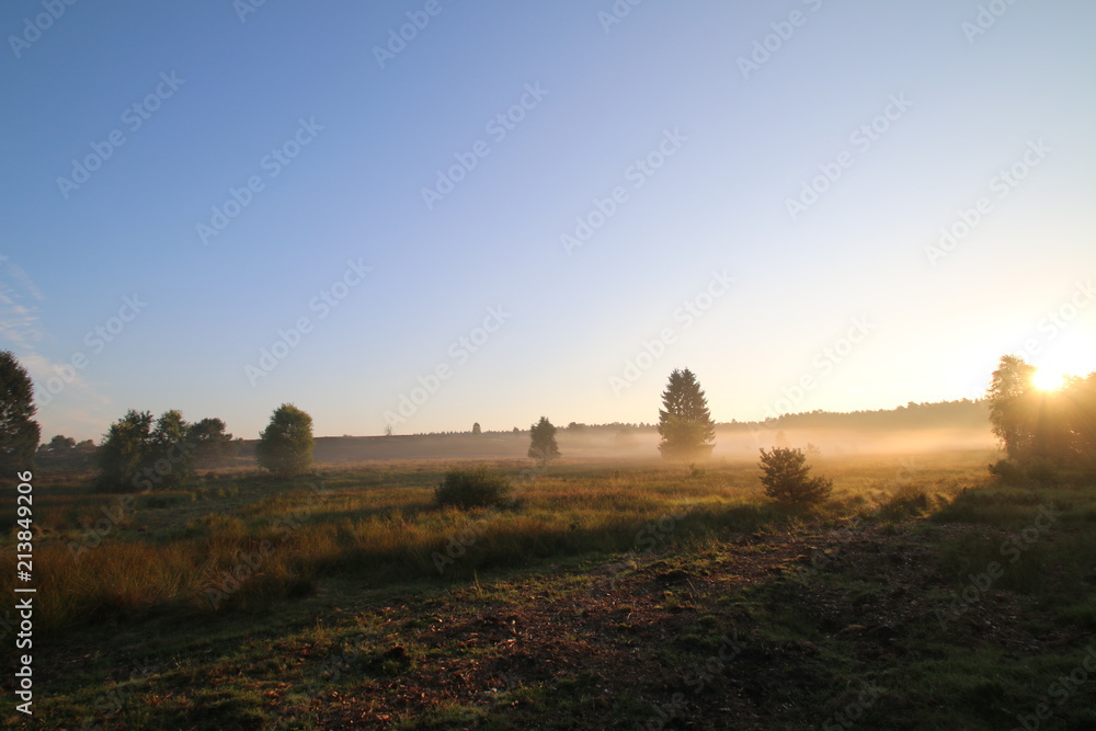 Sonnenaufgang im Morgennebel in der Lüneburger Heide Sonnenaufgang im Morgennebel in der Lüneburger Heide