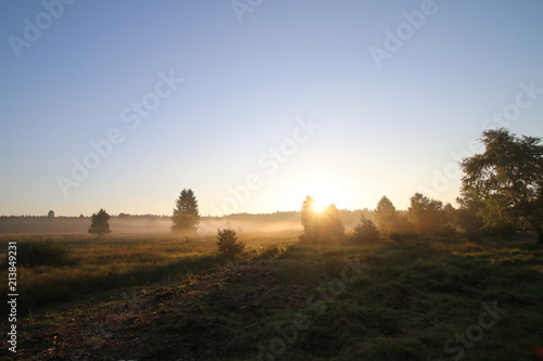 Sonnenaufgang im Morgennebel in der L  neburger Heide